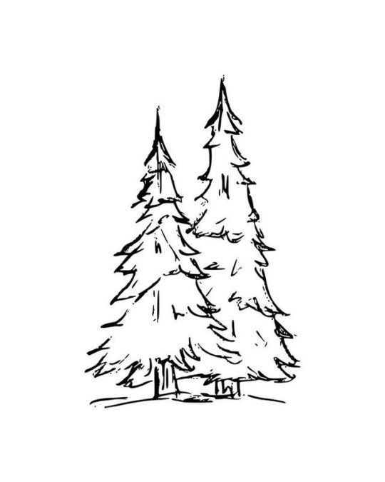 Pine Tree Tattoo Ideas 0043