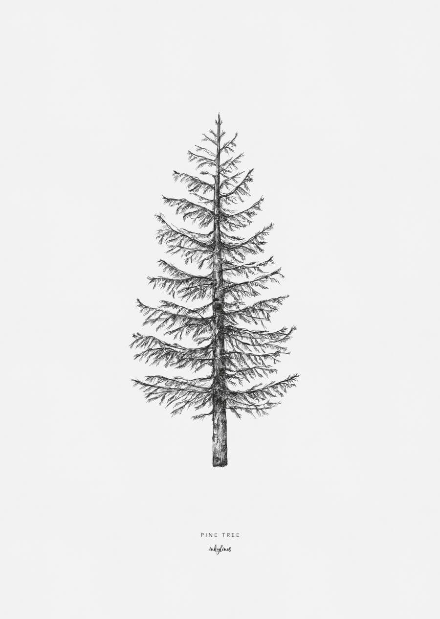 Pine Tree Tattoo Ideas 0047