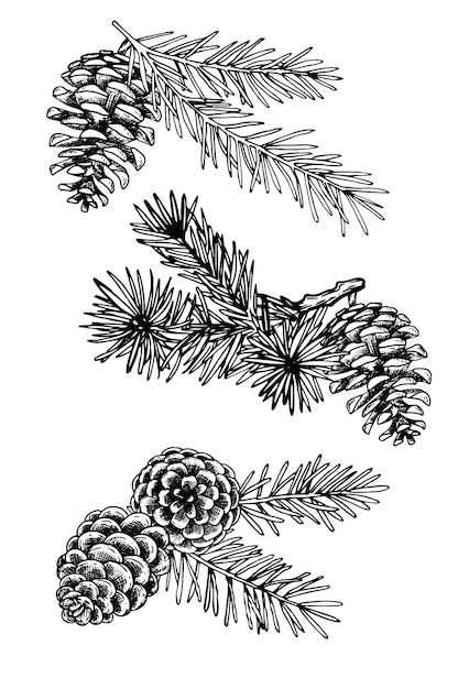 Pine Tree Tattoo Ideas 0050