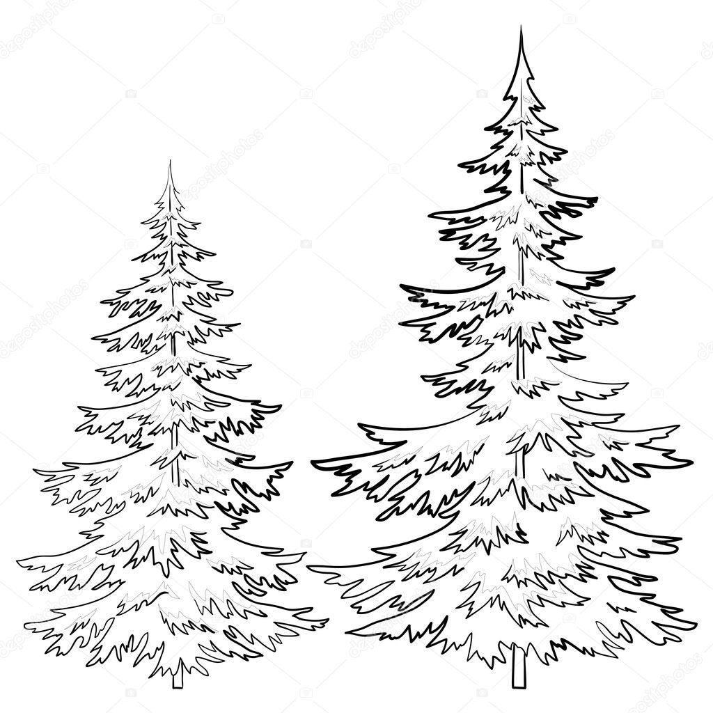 Pine Tree Tattoo Ideas 0069