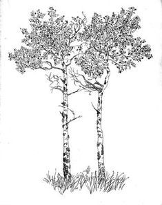 Pine Tree Tattoo Ideas 0079