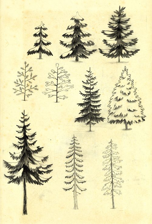 Pine Tree Tattoo Ideas 0093