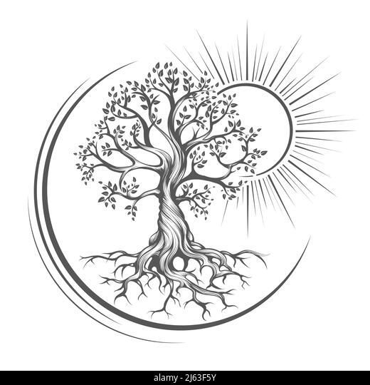 popular tree of life tattoo placements