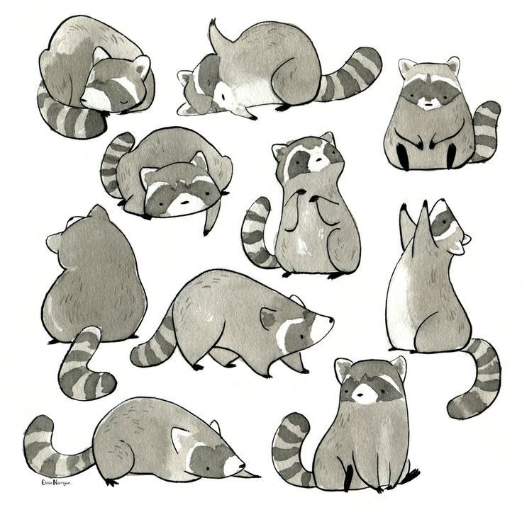 raccoon tattoo ideas 0011