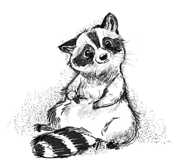 raccoon tattoo ideas 0025