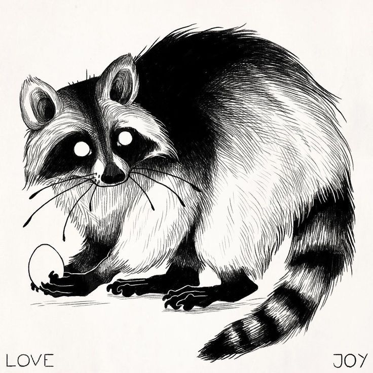 raccoon tattoo ideas 0030