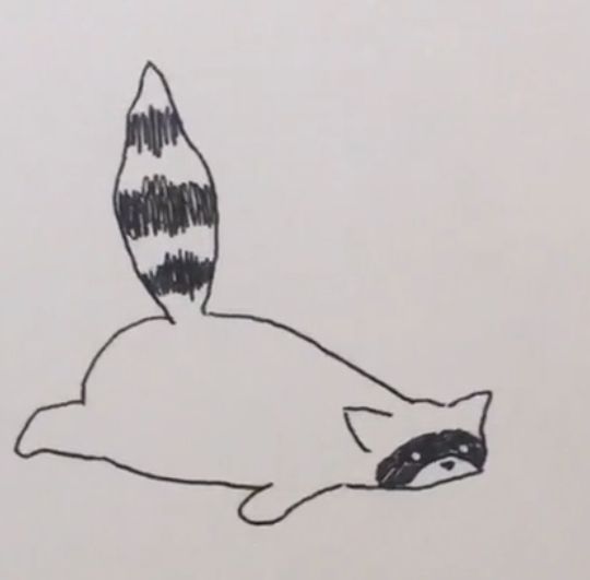 raccoon tattoo ideas 0044