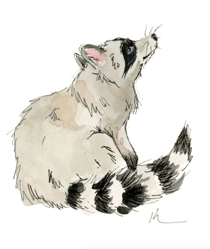 raccoon tattoo ideas 0059