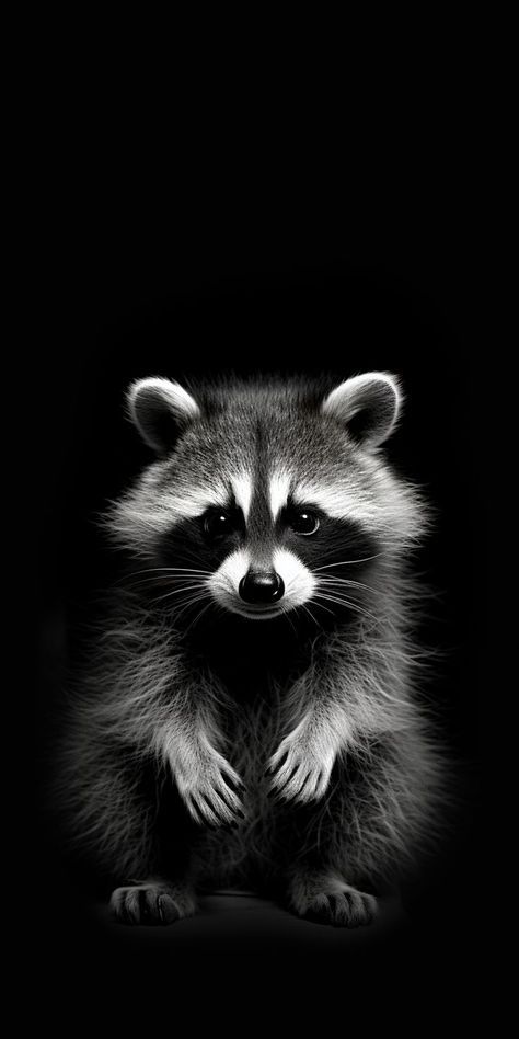 raccoon tattoo ideas 0070