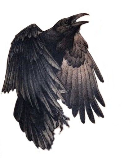 raven tattoo ideas 0046