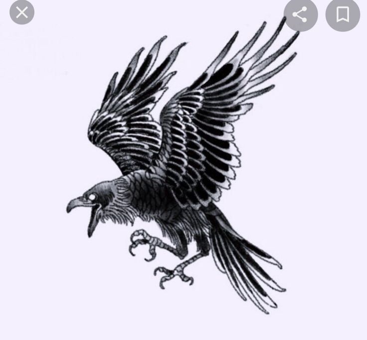 raven tattoo ideas 0081