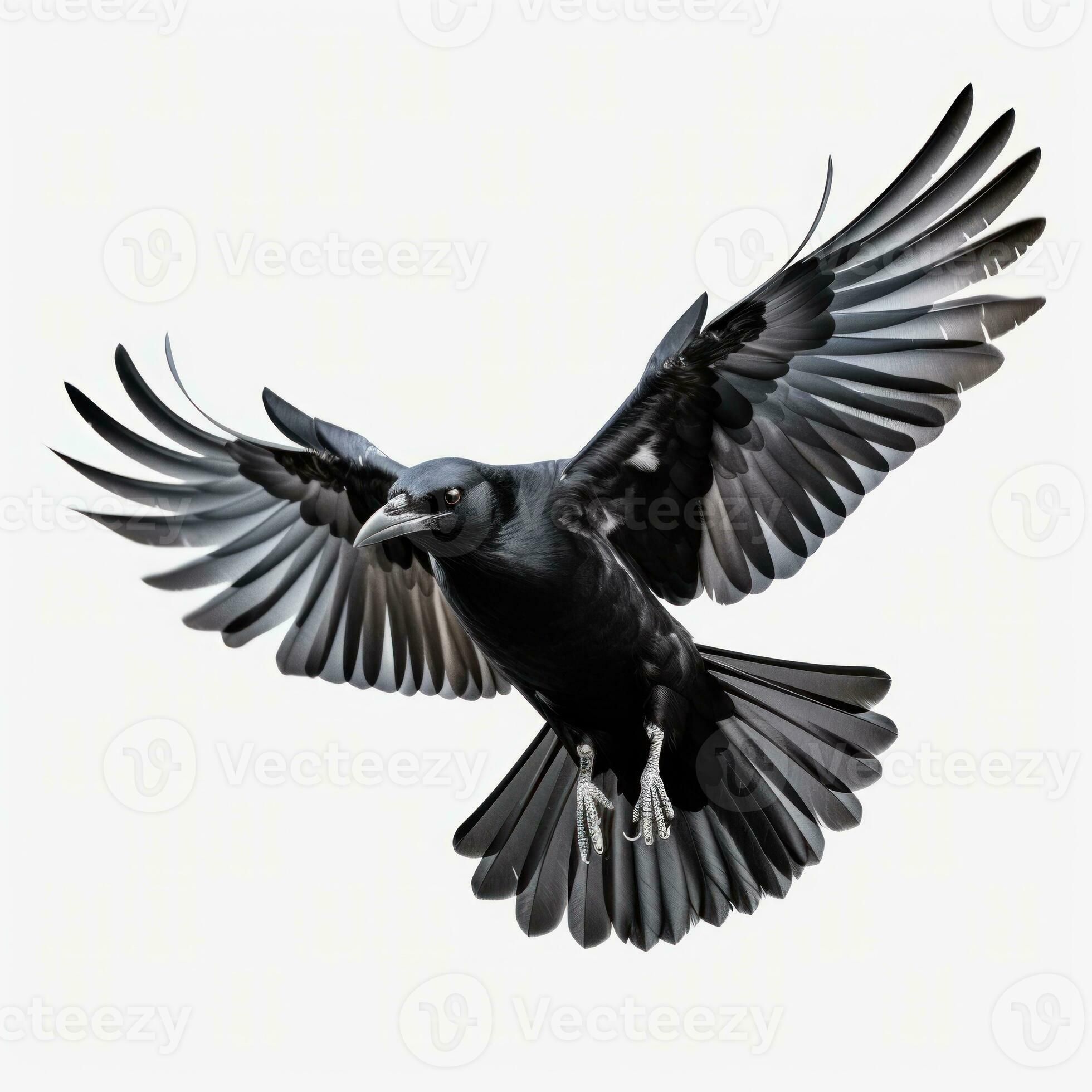 raven tattoo ideas 0096