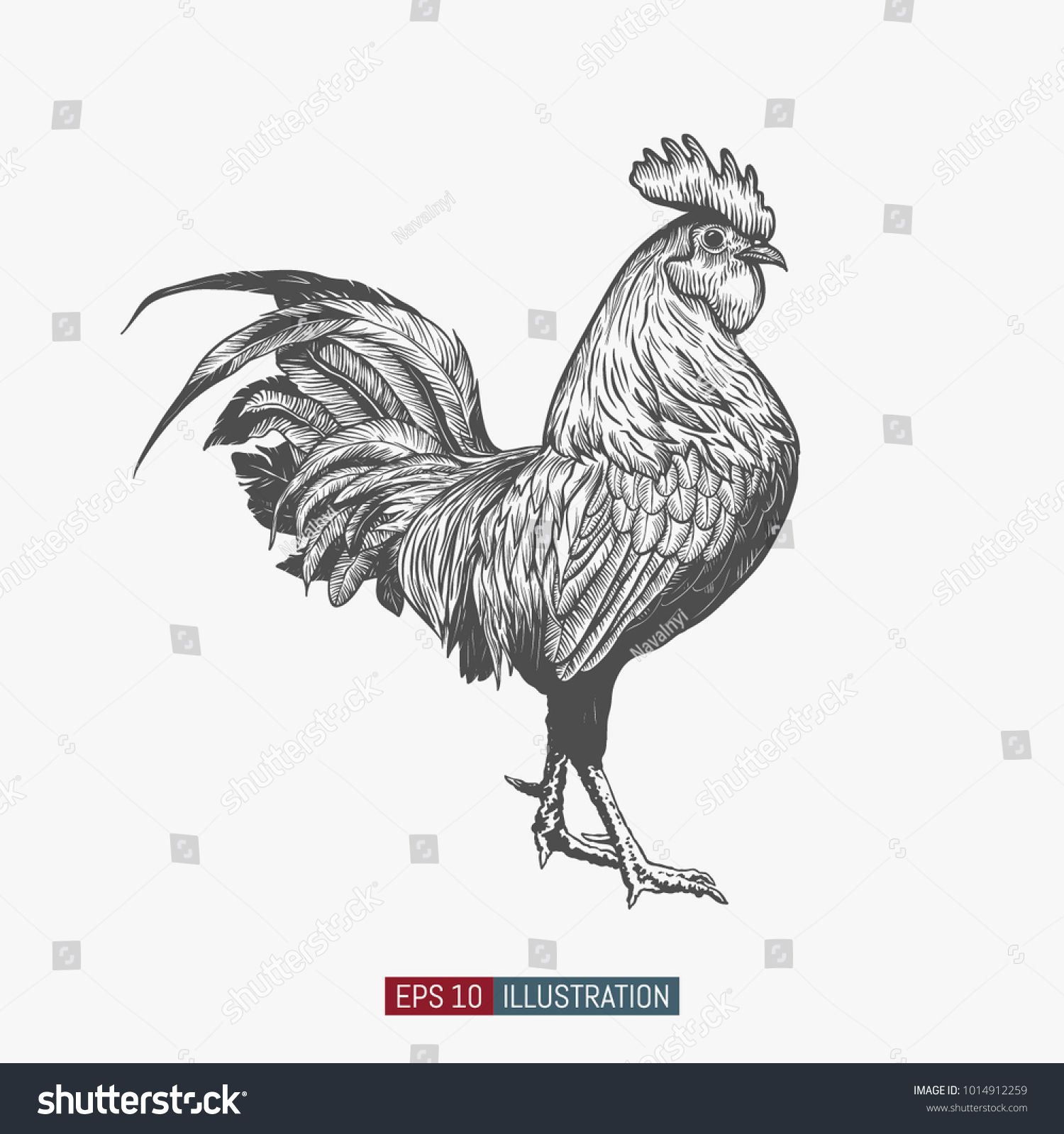 rooster tattoo ideas 0024