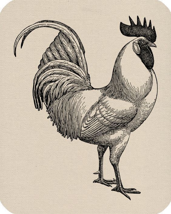 rooster tattoo ideas 0028