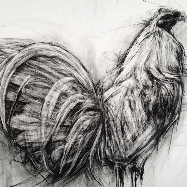 rooster tattoo ideas 0037