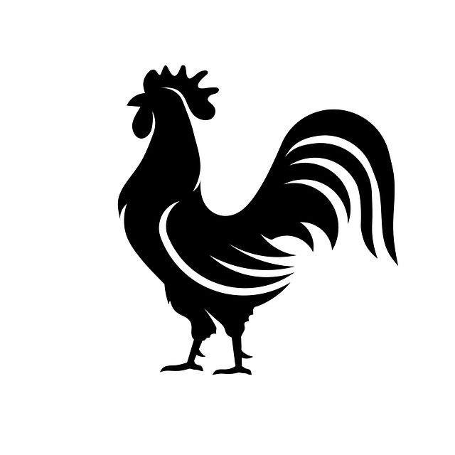 rooster tattoo ideas 0062