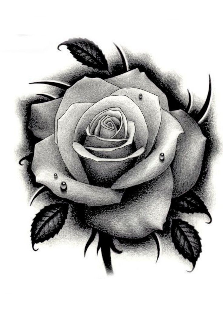 rose tattoo ideas 0019