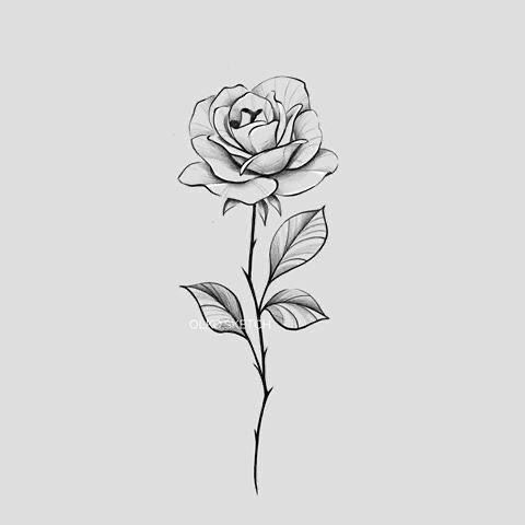 rose tattoo ideas 0021