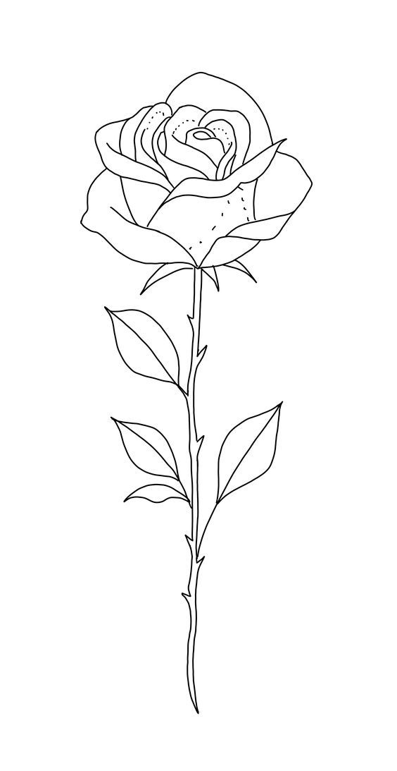 rose tattoo ideas 0050