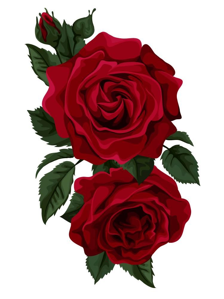 rose tattoo ideas 0062