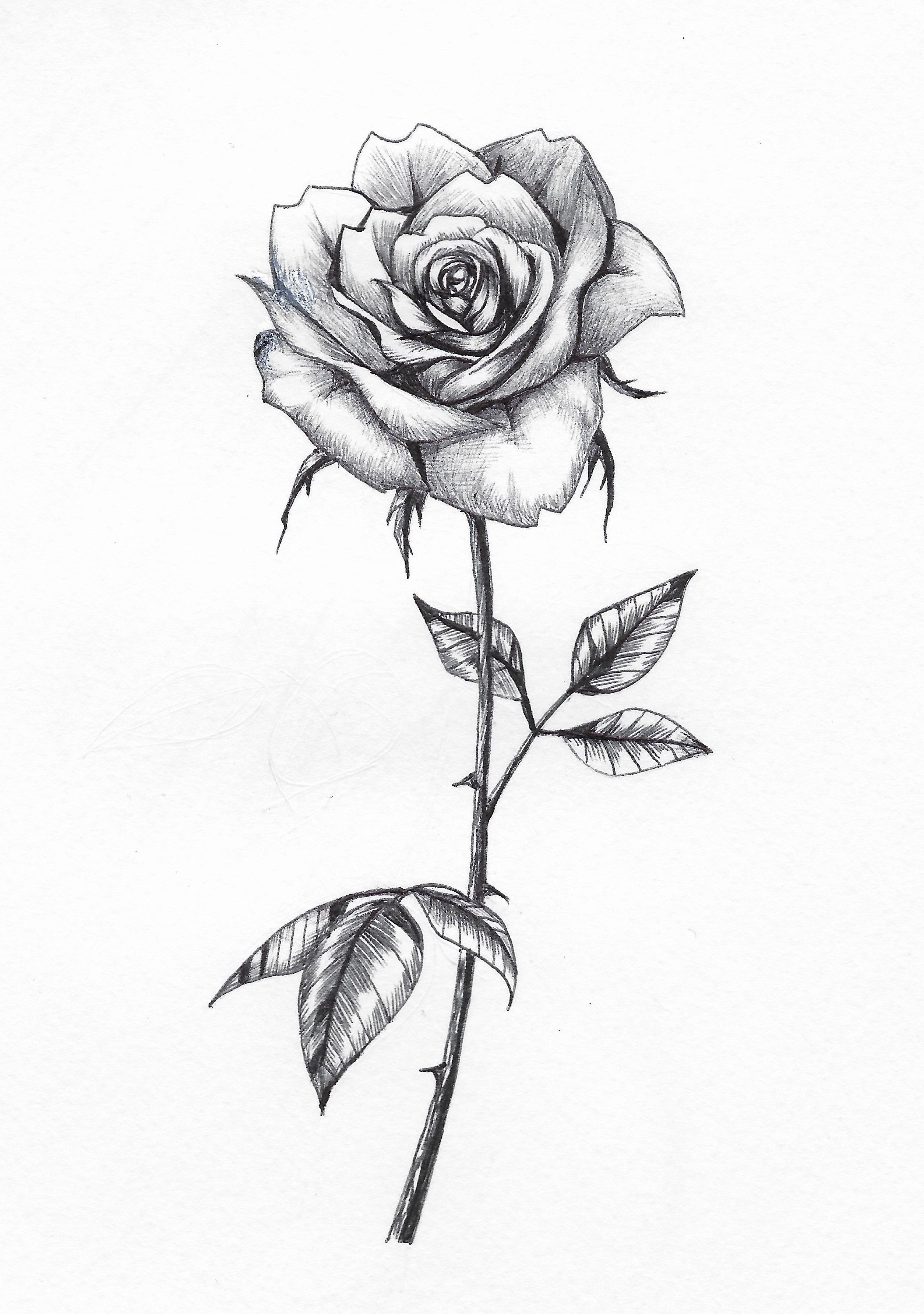 rose tattoo ideas 0066