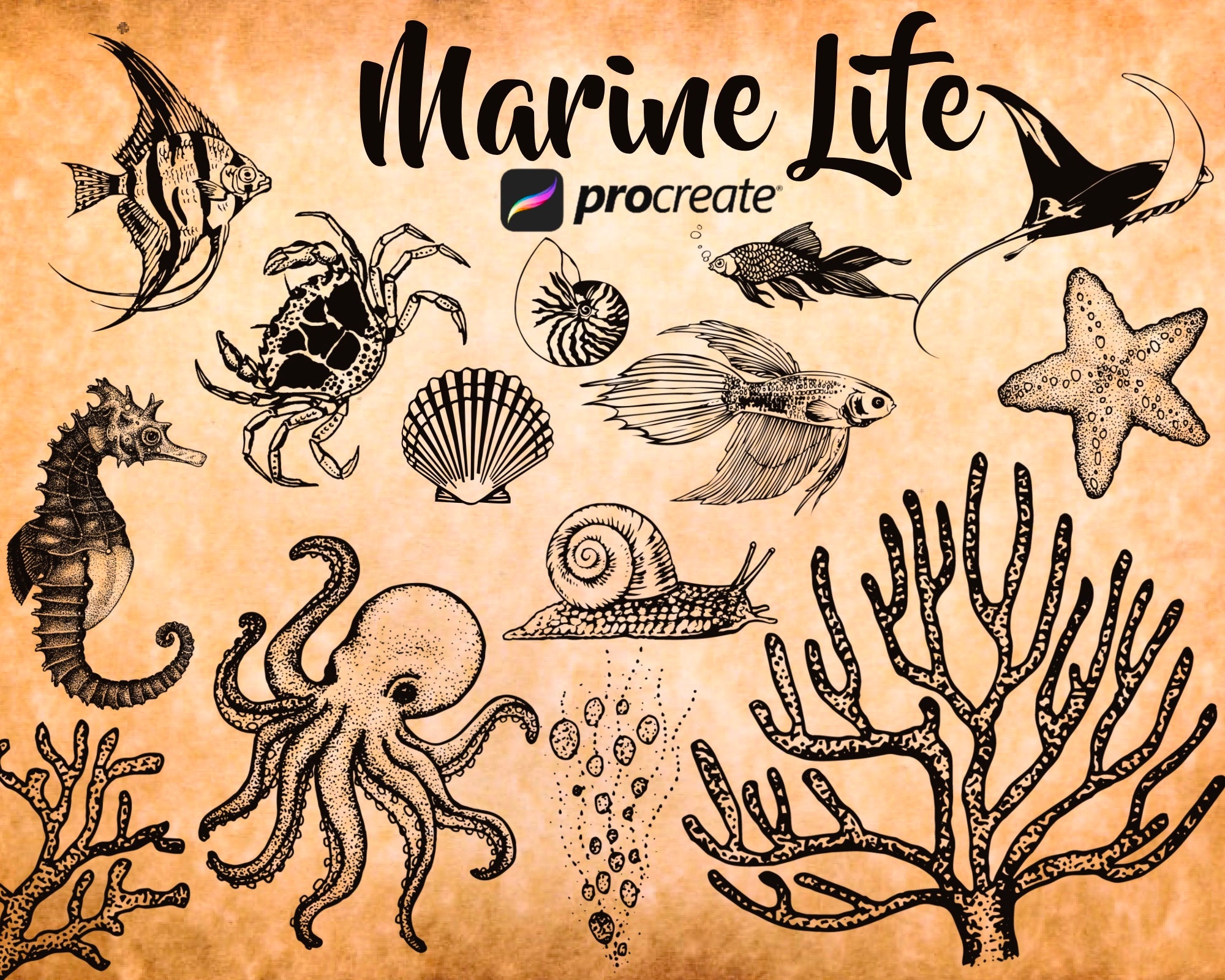 Sea Life Tattoo Ideas 0013