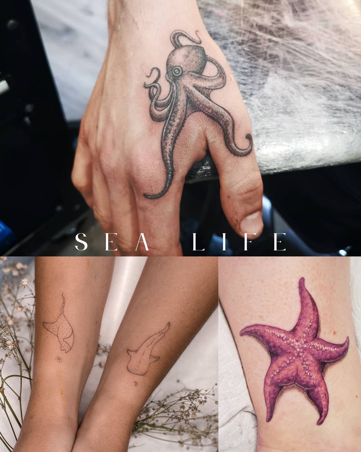 Sea Life Tattoo Ideas 0026