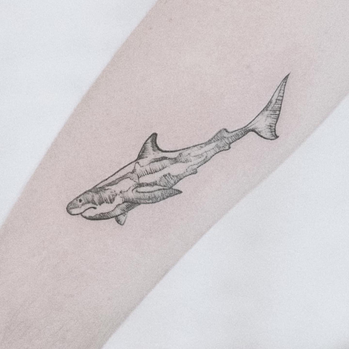 Sea Life Tattoo Ideas 0041