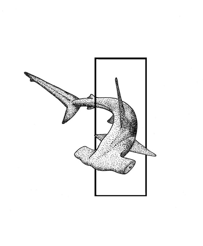 shark tattoo ideas 0014