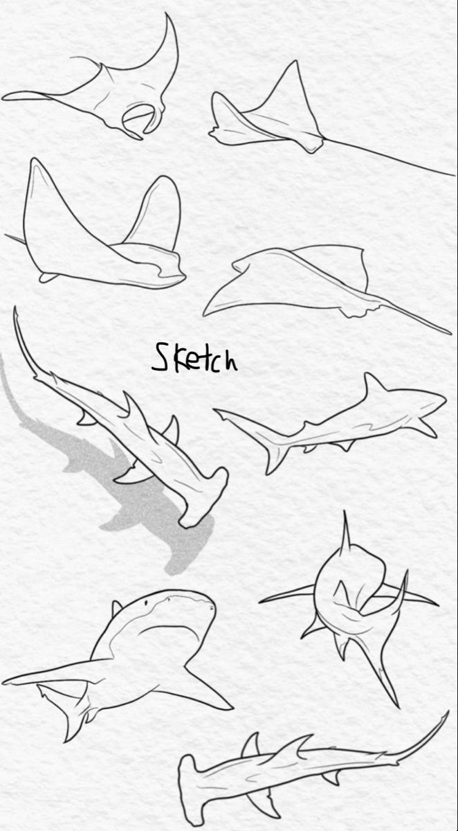 shark tattoo ideas 0035