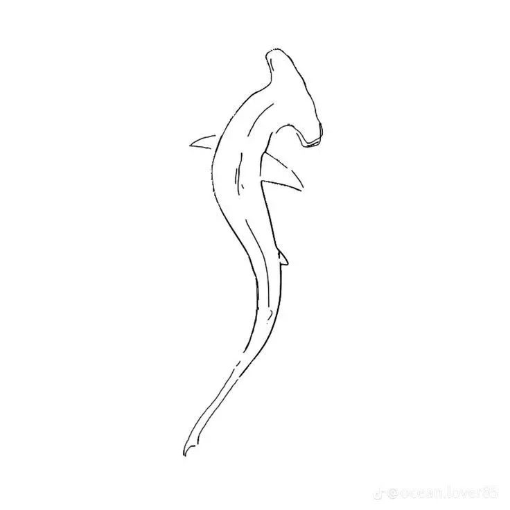 shark tattoo ideas 0038