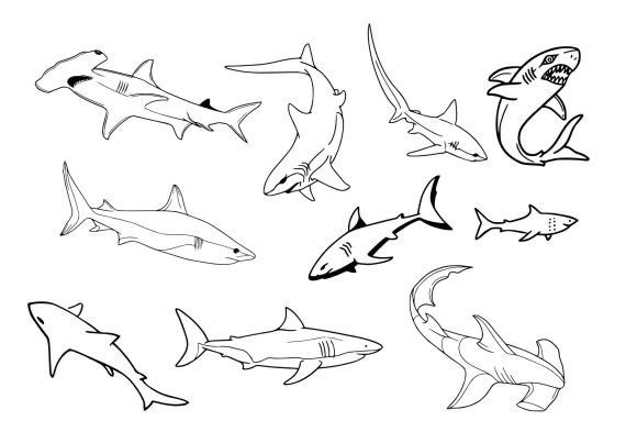 shark tattoo ideas 0065