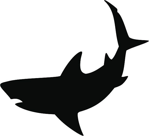 shark tattoo ideas 0081