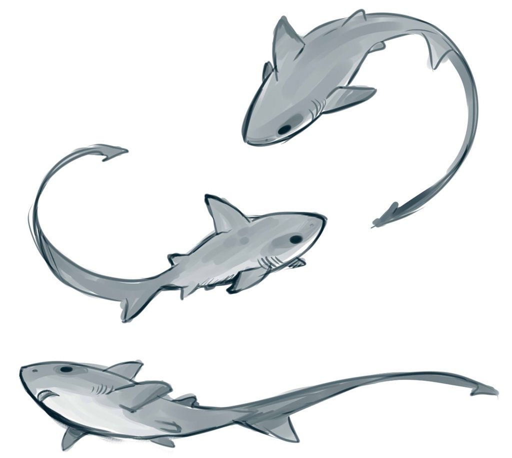 shark tattoo ideas 0089