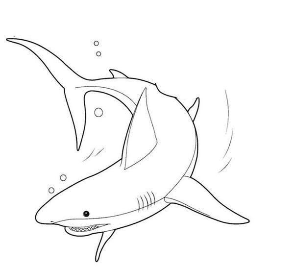 shark tattoo ideas 0091