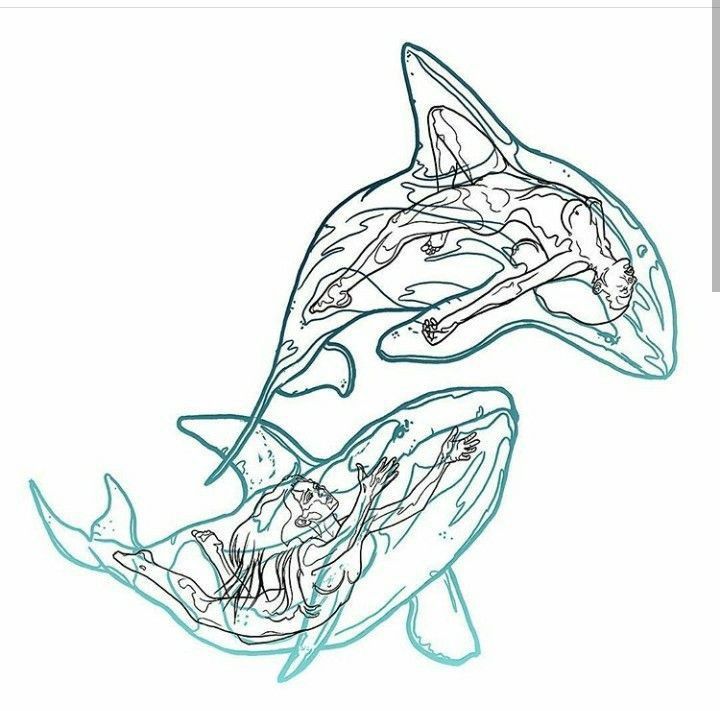 shark tattoo ideas 0093