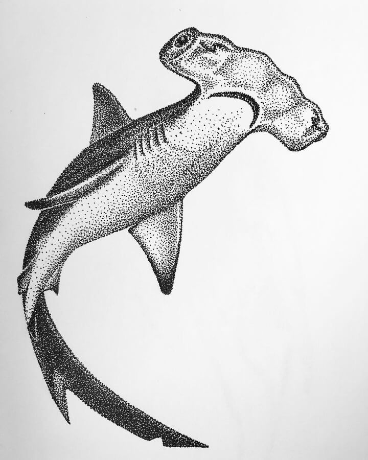 shark tattoo ideas 0097