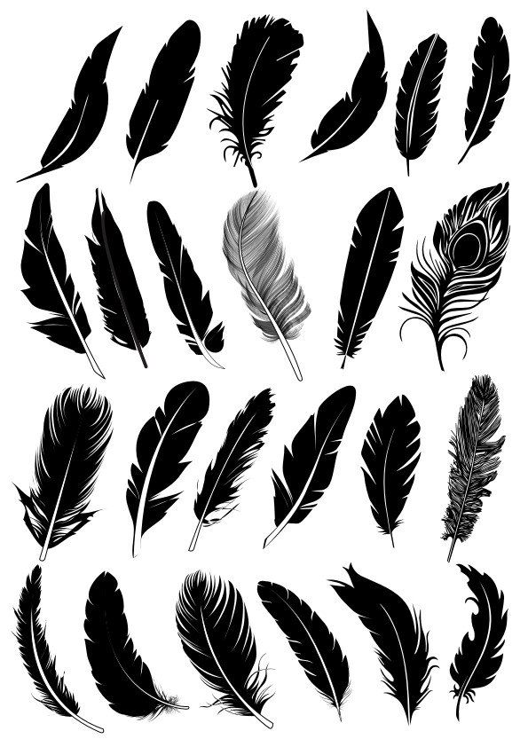 simple feather tattoo ideas for first-timers