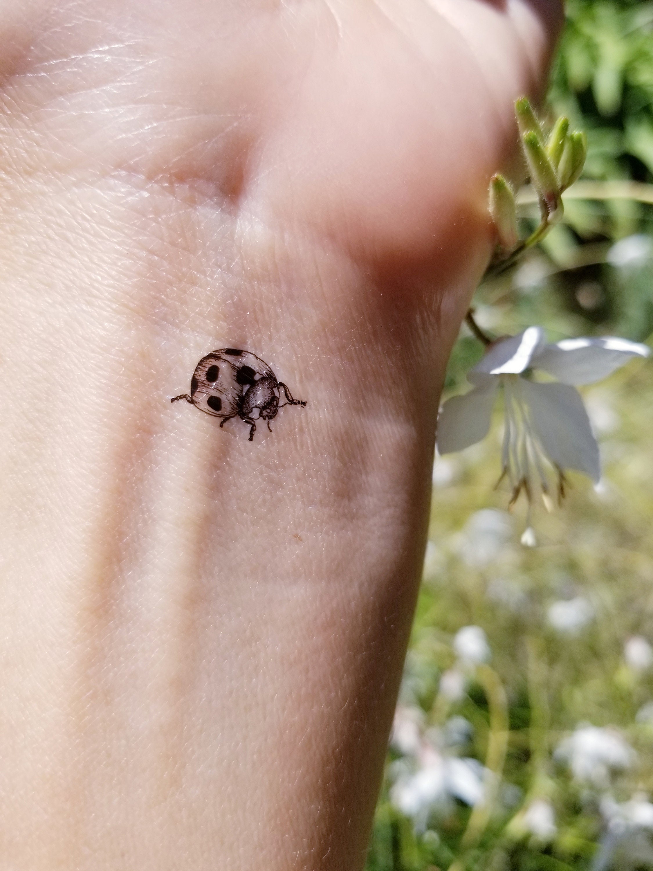 simple small ladybug tattoo 0041