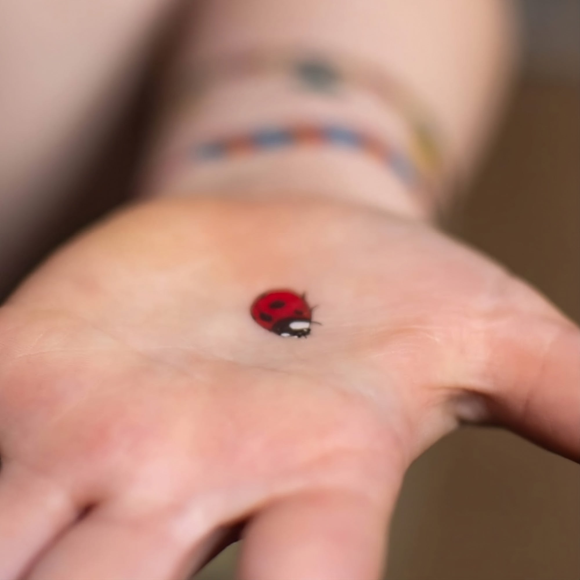 simple small ladybug tattoo 0049