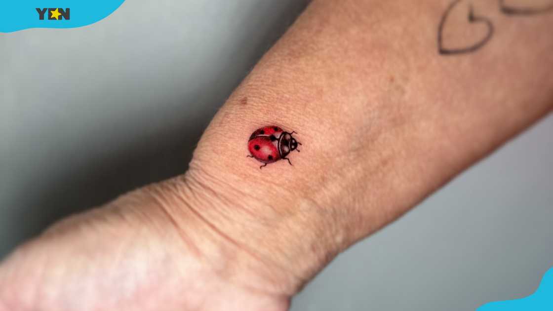 simple small ladybug tattoo 0051