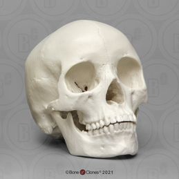 skull tattoo ideas 0030