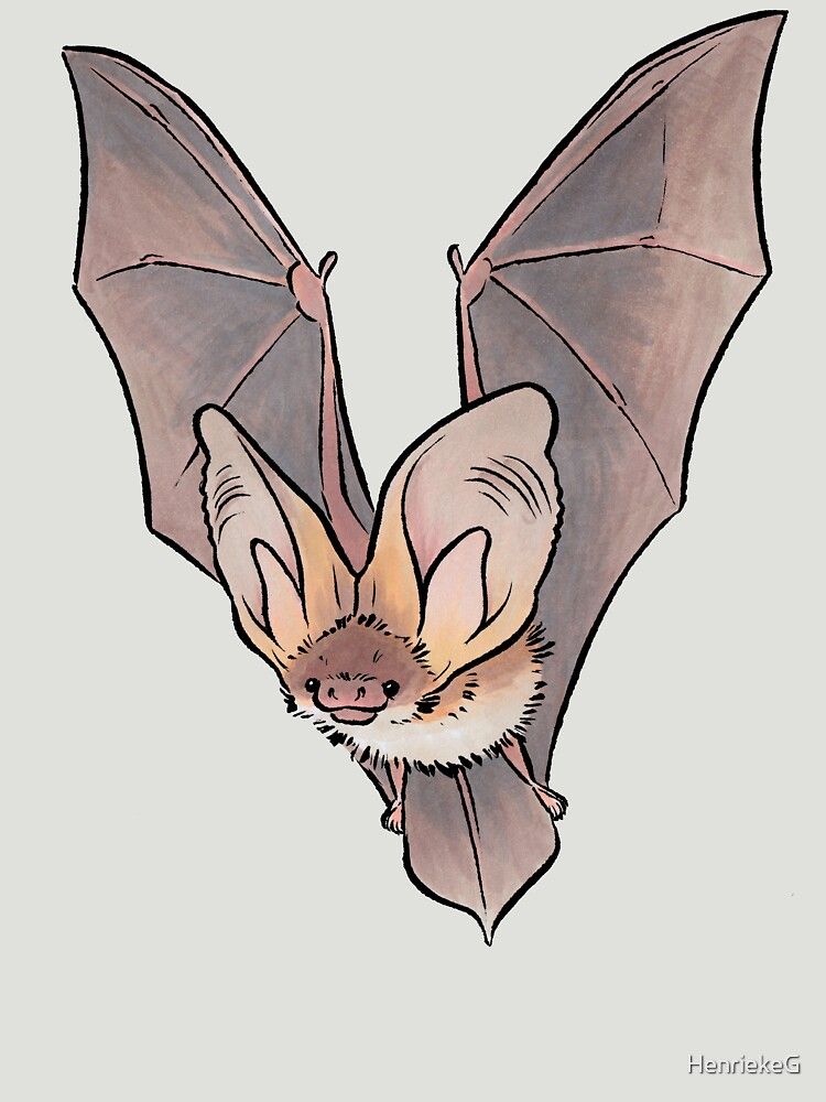 small bat tattoo 0065