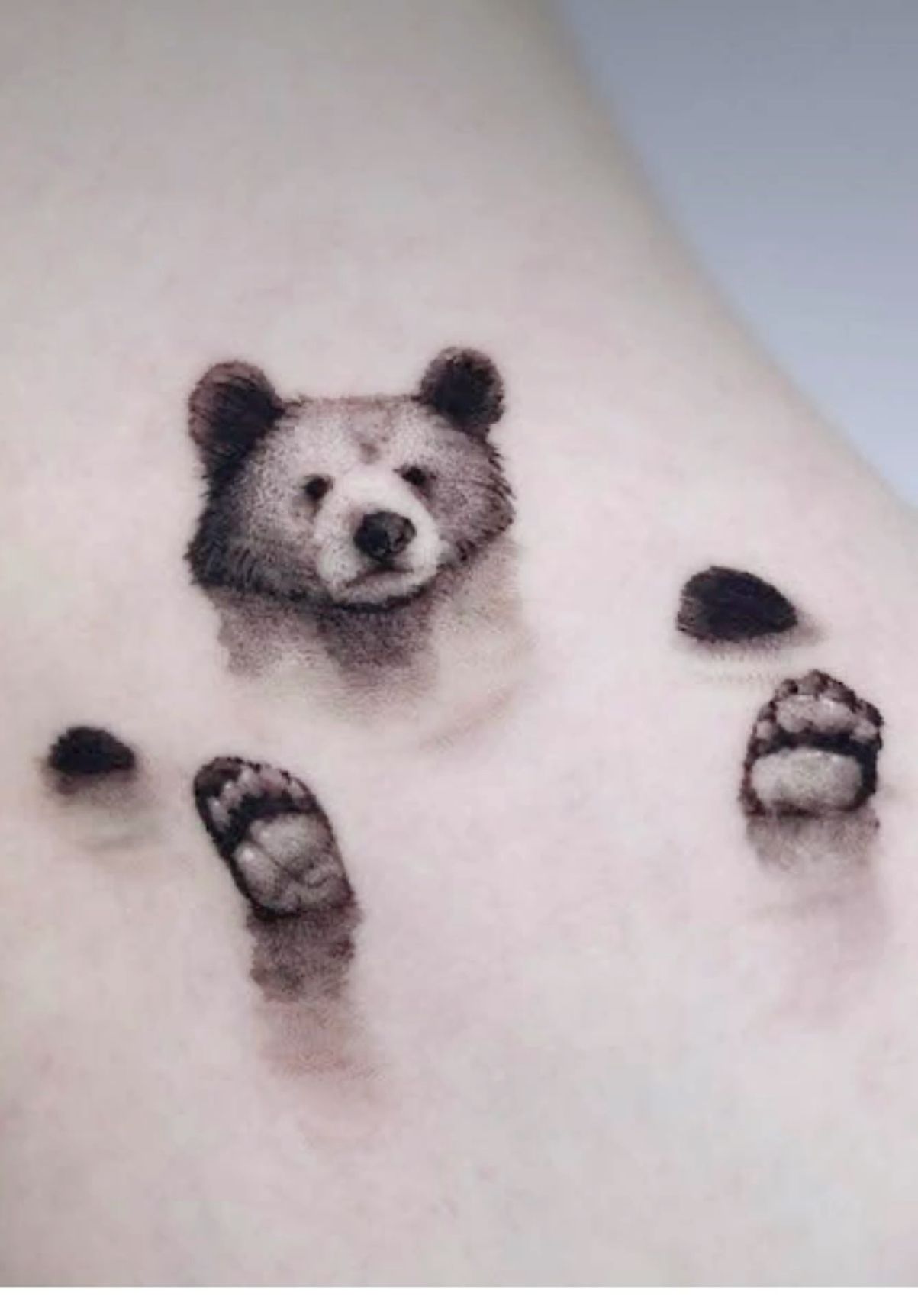 small bear tattoo meaning