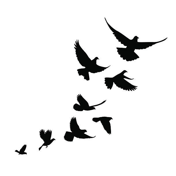 small bird tattoo designs 0024