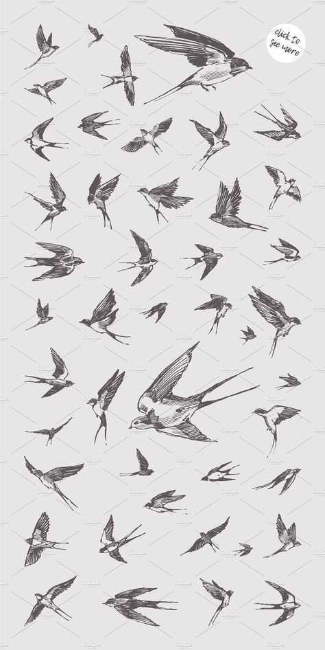 small bird tattoo designs 0071