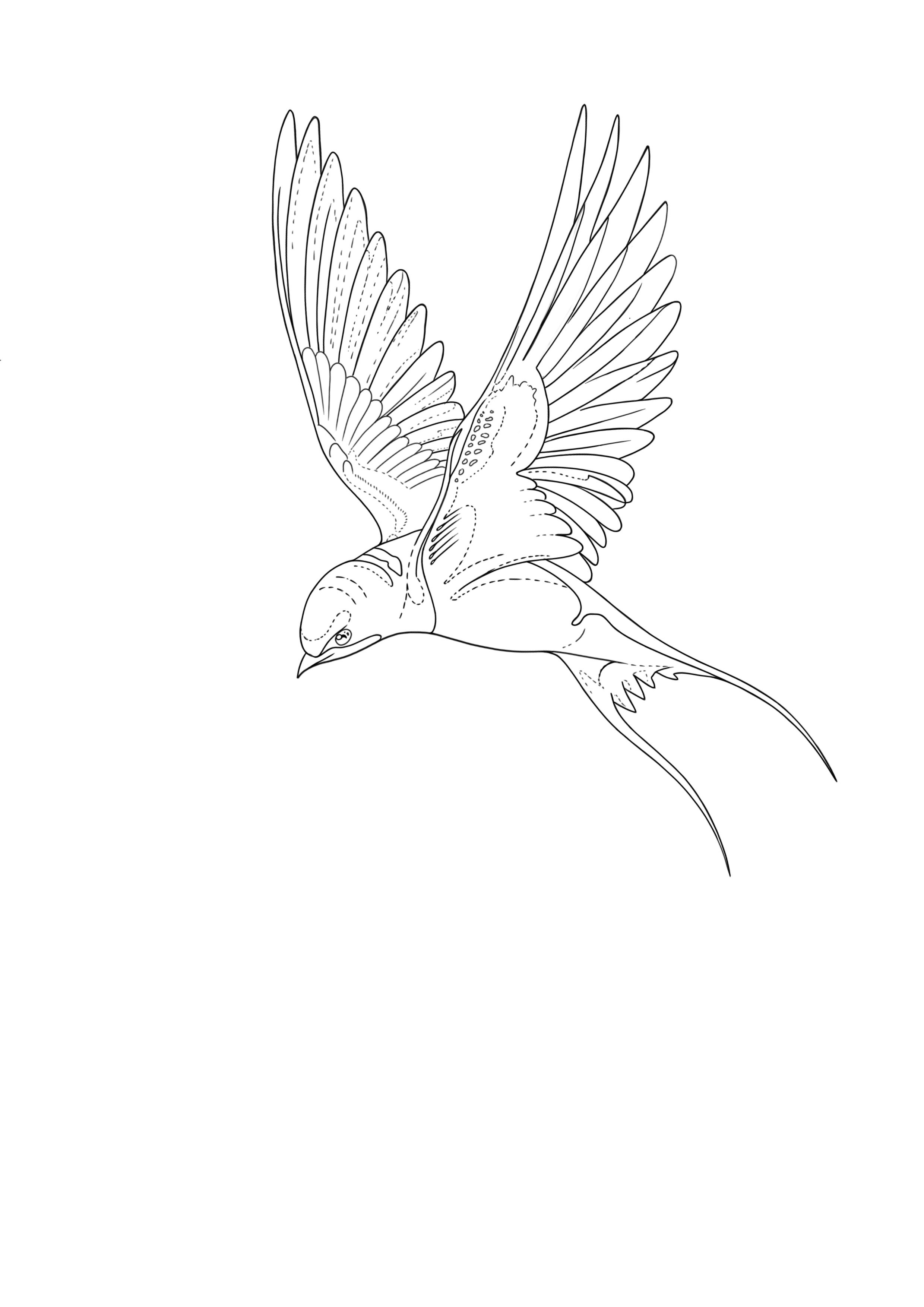 small bird tattoo designs 0078