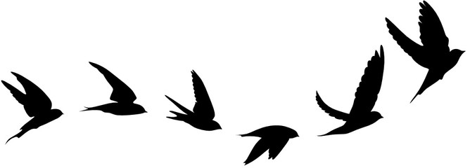 small bird tattoo designs 0096