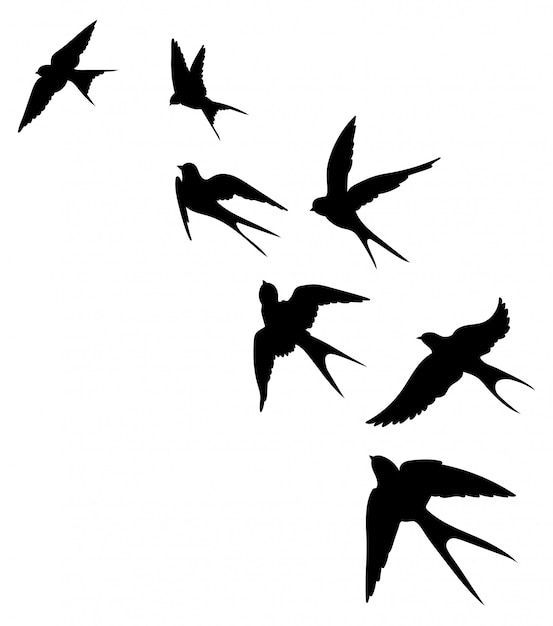 small bird tattoo inspiration