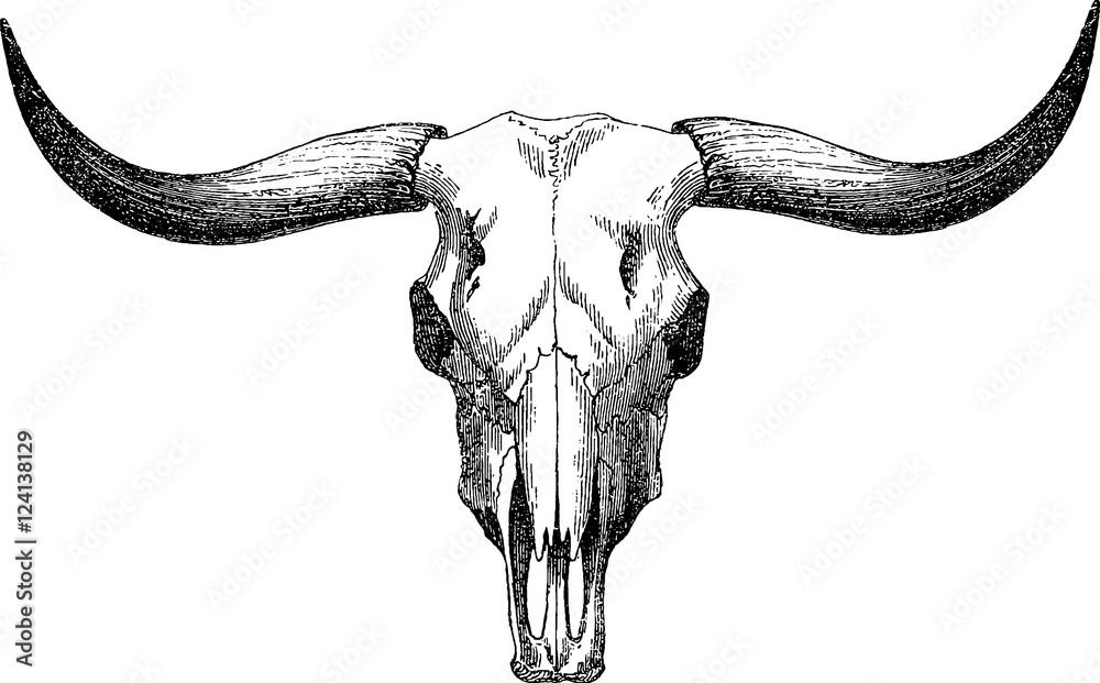 small bull skull tattoo ideas